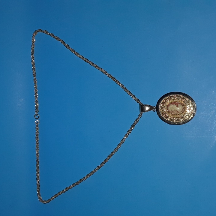 Vintage Gold Plated Cameo Photo Locket Necklace 50$